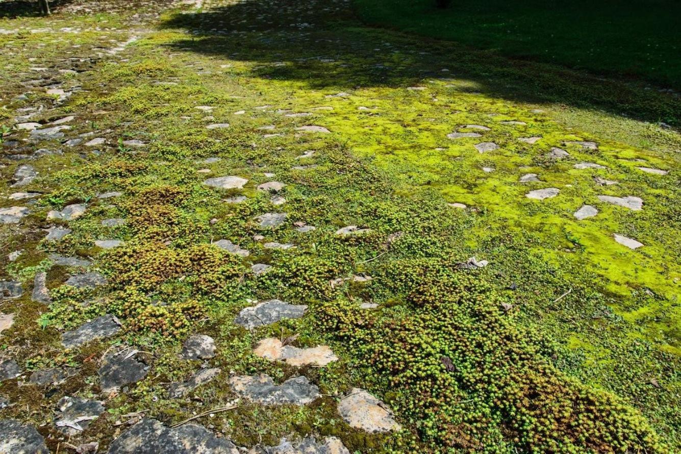 Rittergut/Gutshaus Grossgestewitz Naumburg  Luaran gambar